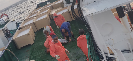 Fisheries Observers-2