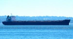 Bulk Carrier Catalina