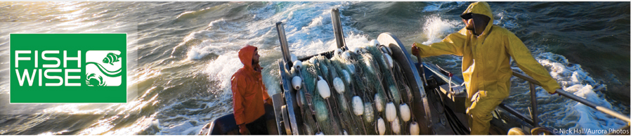 FishWise Banner