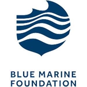 Blue-Marine-Foundation-Square.jpg